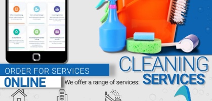 Professional cleaning services