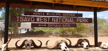 Tsavo West  National Park