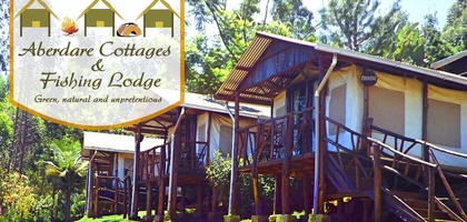 Aberdare Cottages Dream