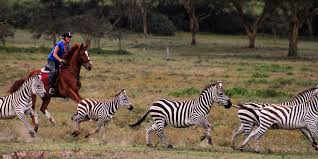 Sanctuary Horseback Safaris
