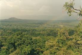 Kakamega Forest National Reserve