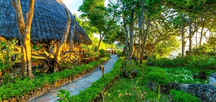 The Sands At Chale Island