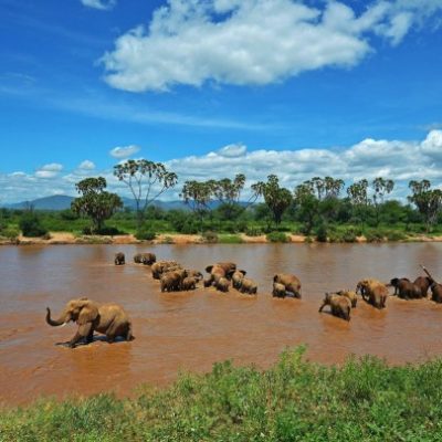 Samburu National Reserve Kenya