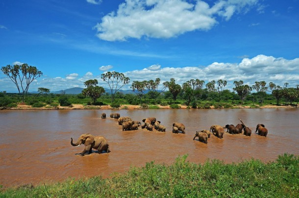 Best National Parks in Kenya