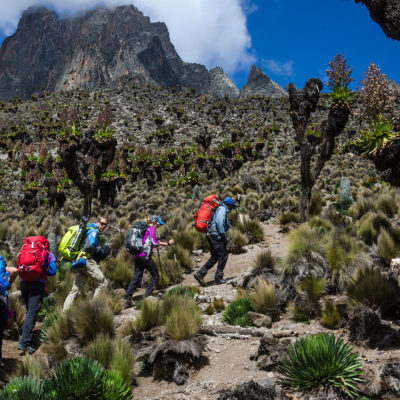 Hiking in Mount Kenya / Source: ft.com