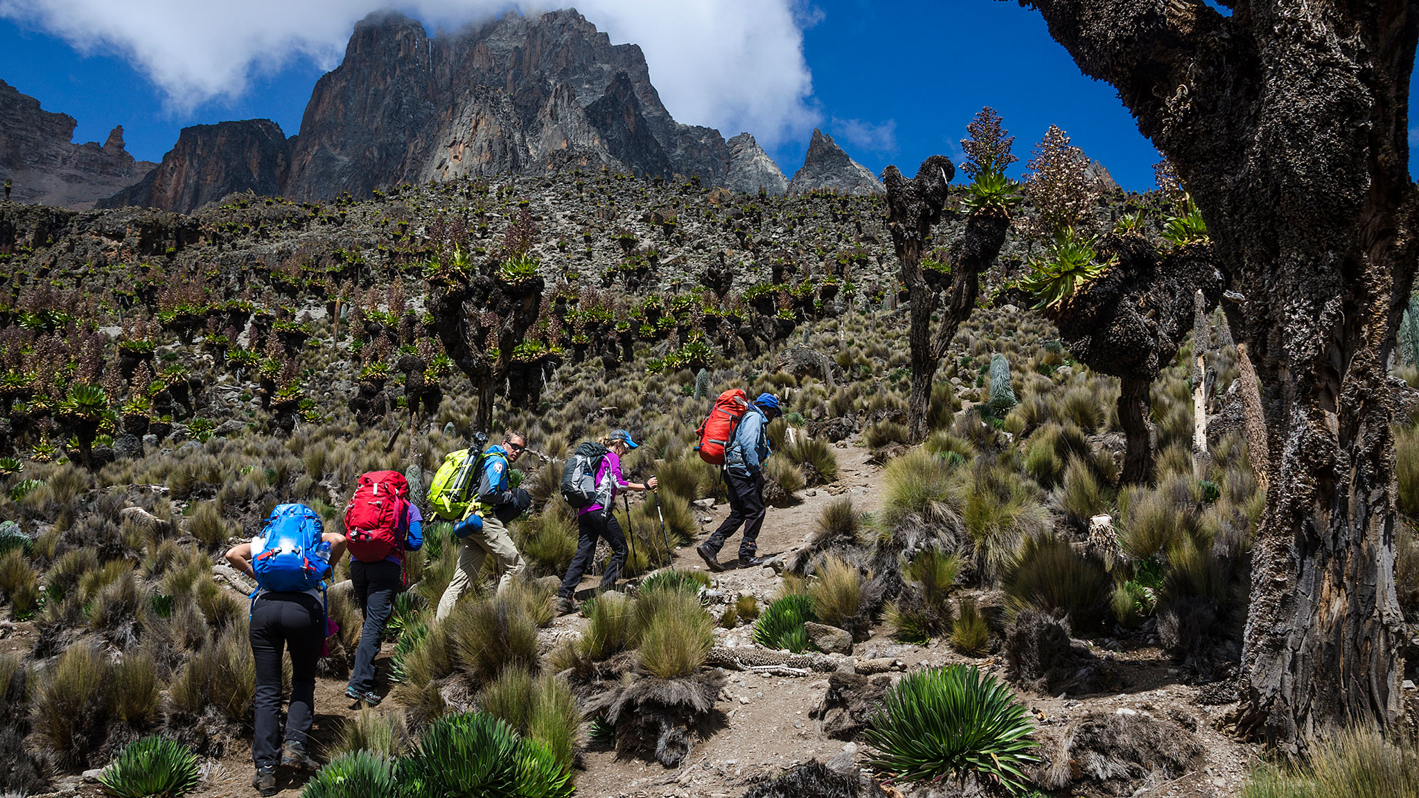 What Does Mount Kenya Hiking Look Like?