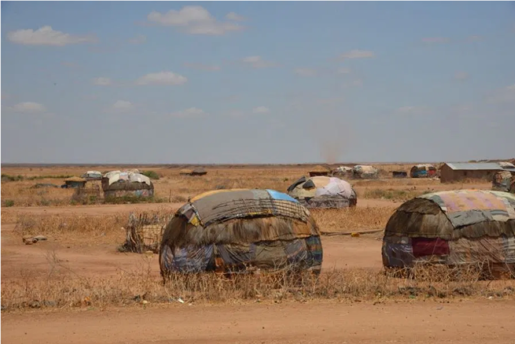 Dida Galgalla Desert (Source: africa4shaw.wordpress.com