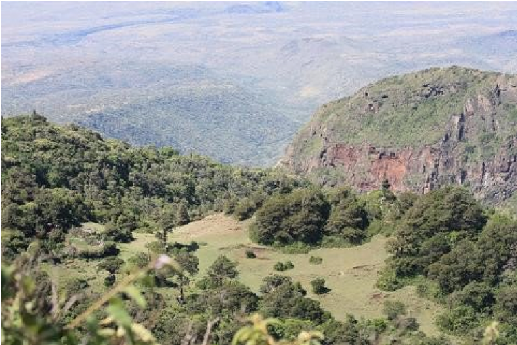 Mount Kulal (Source: travelokenya.com)