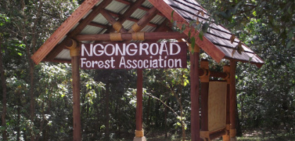 Ngong Forest Sanctuary