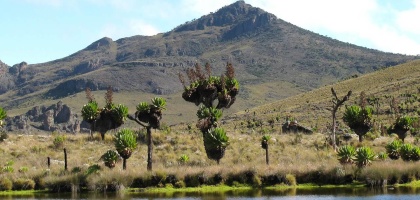 Mount Elgon National Park